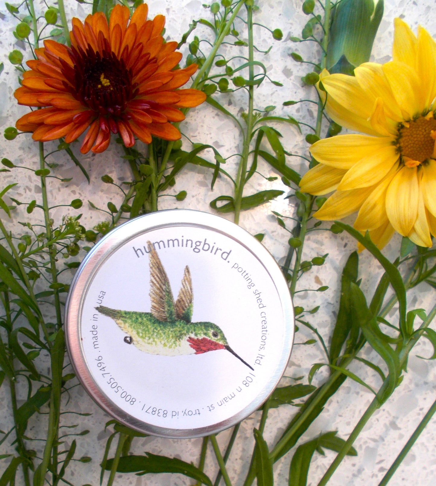 Humming Bird Garden Seed