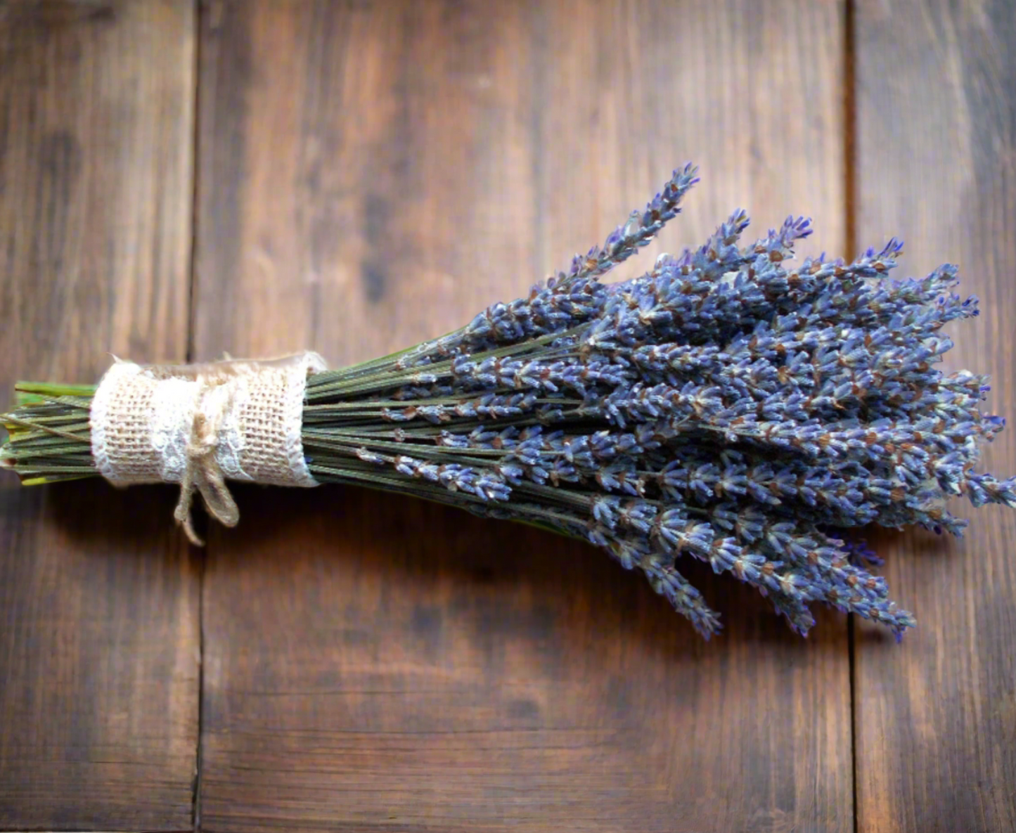 Short Dried Lavender Bundles