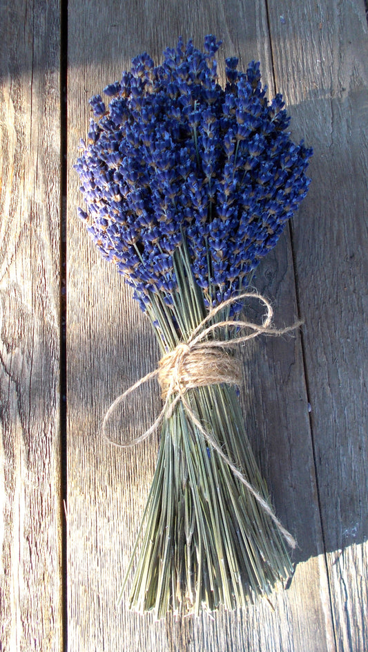 Dried English Lavender Bouquets